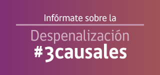 PROYECTO DE LEY DE DESPENALIZA EL EMBARAZO EN 3 CAUSALES